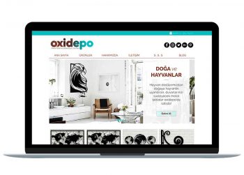 Oxidepo websitesi Tasarim