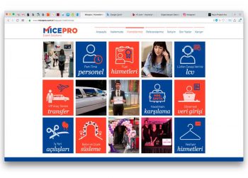 micepro website arayuz tasarim